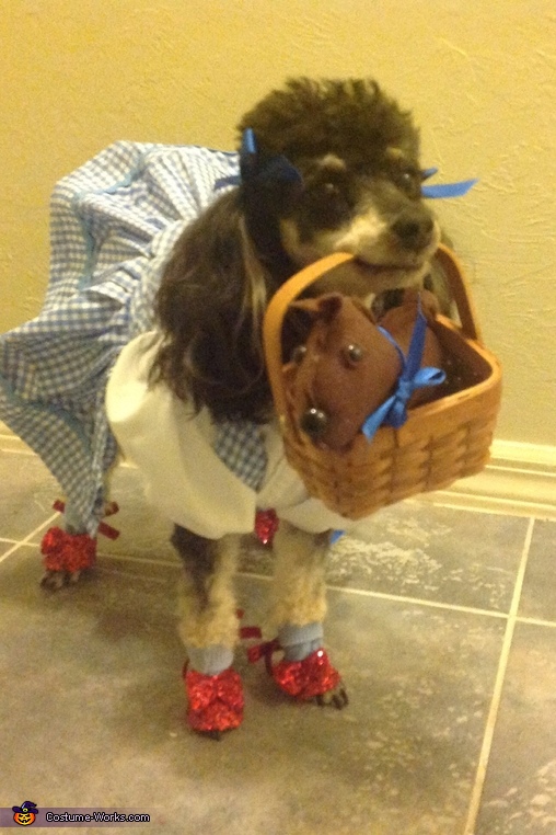 Wizard of Oz Dorothy Dog Costume