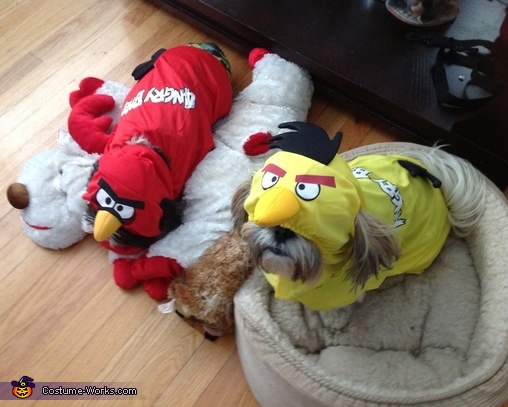 Angry Birds Dog Costume