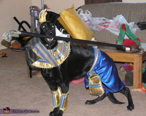 Anubis Egyptian Dog God Costume