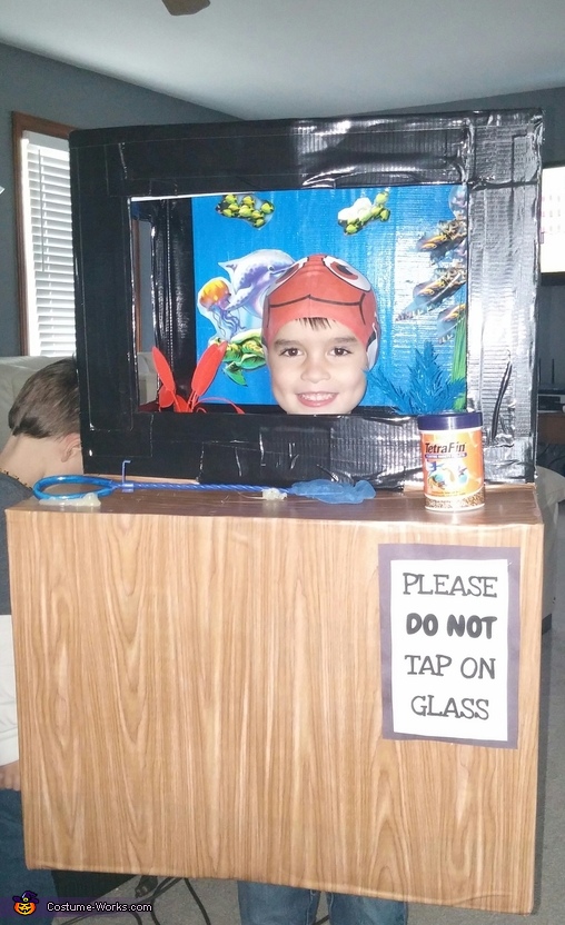 Aquarium Costume