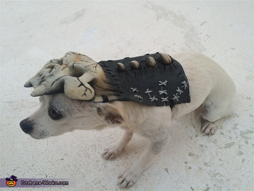 Army of Darkness Dog Costume