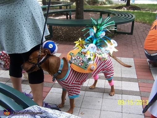 Astro Doggie Dog Costume