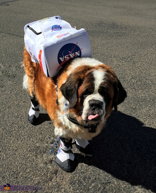 Snowplow the Astronaut Costume