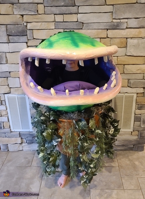 Audrey II from Little Shop of Horror Costume