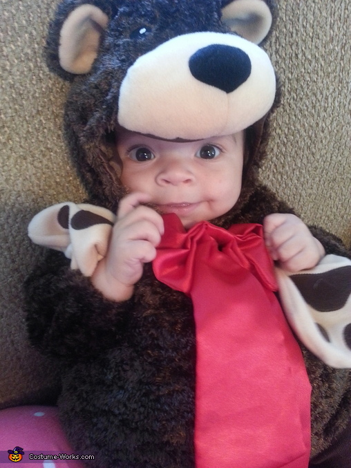 Baby Bear Costume