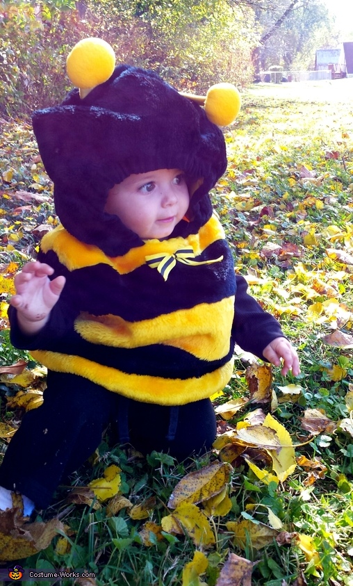 Baby Bumblebee Costume