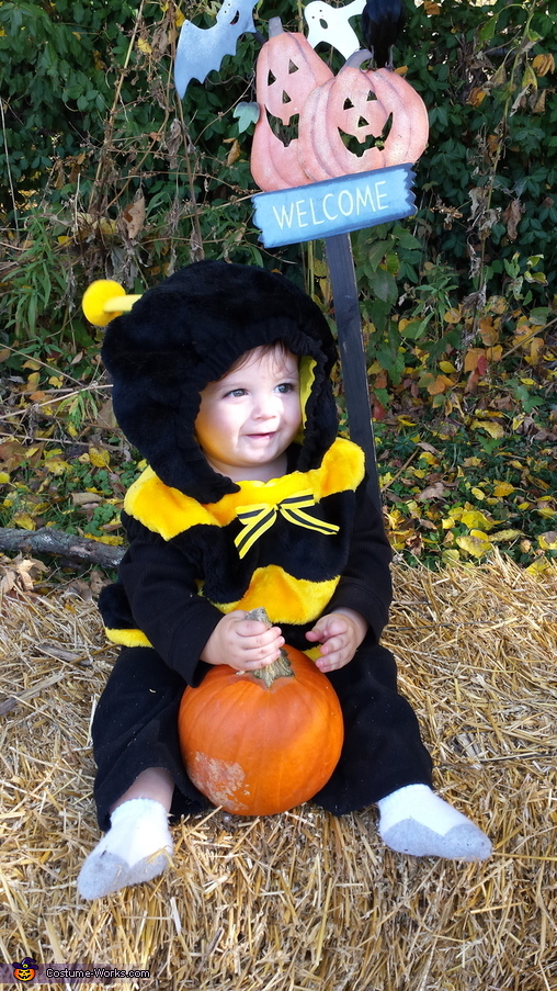 Baby Bumblebee Costume | DIY Costumes Under $25 - Photo 2/2