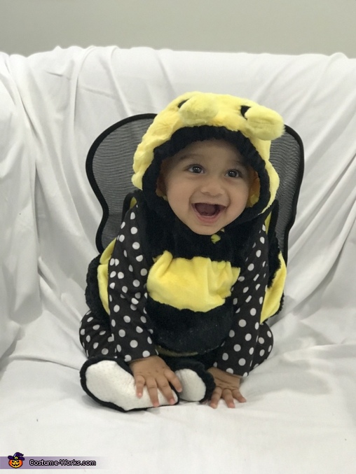 Baby Bumblebee Costume