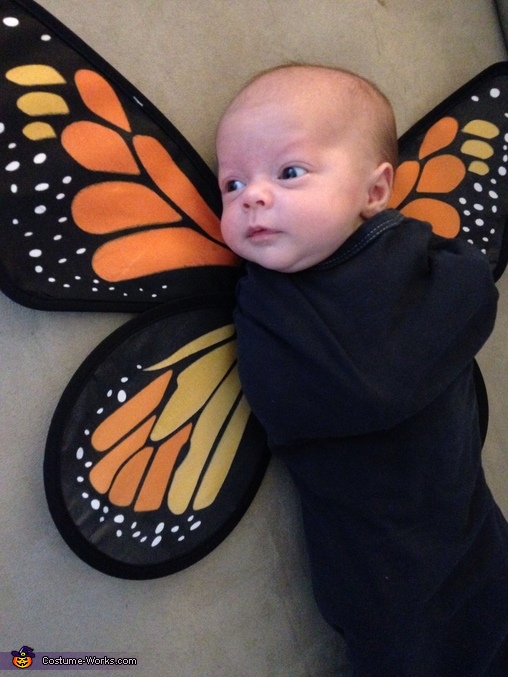 Baby Butterflies Halloween Costumes | Creative DIY Costumes - Photo 4/7