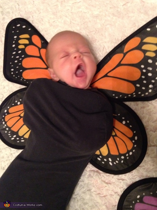 Baby Butterflies Halloween Costumes | Creative DIY Costumes - Photo 7/7