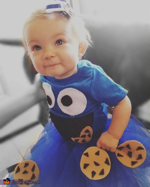 Baby Cookie Monster Costume