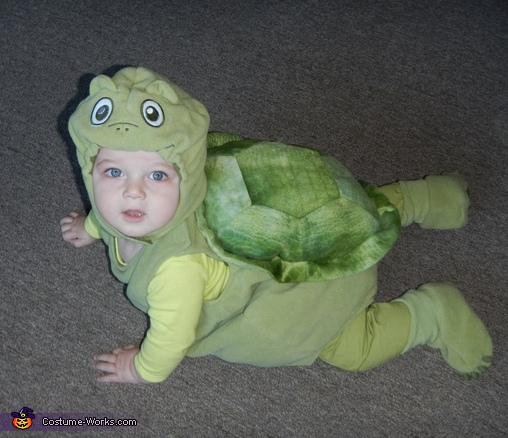 baby ninja turtle