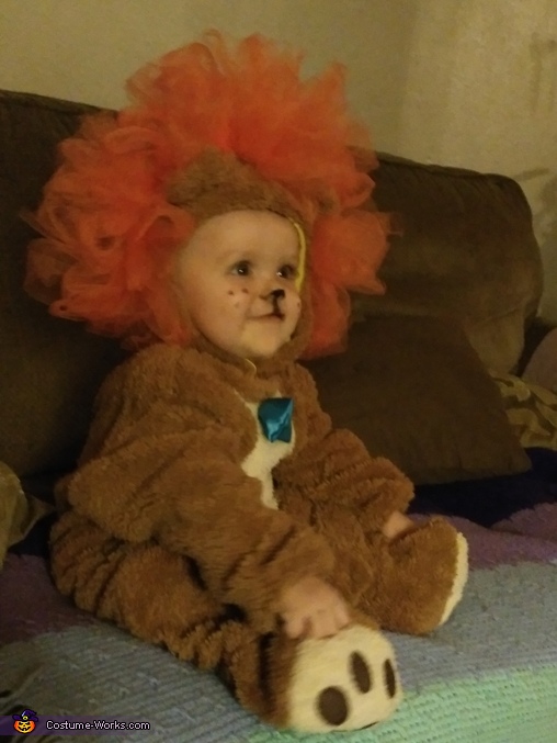 Baby Lion Costume