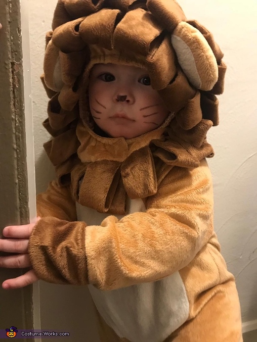 Baby Lion Costume | Affordable Halloween Costumes - Photo 3/8