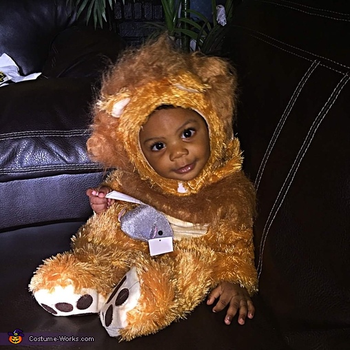 lion cub halloween costume