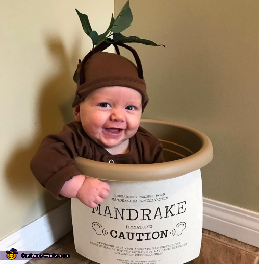 harry potter mandrake costume