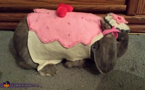 Baby Mouse's Cupcake Costume