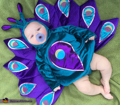 Handsome Baby Peacock Costume