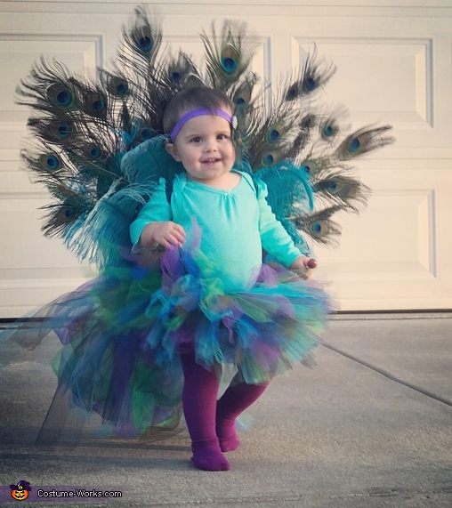 Creative DIY Baby Peacock Costume