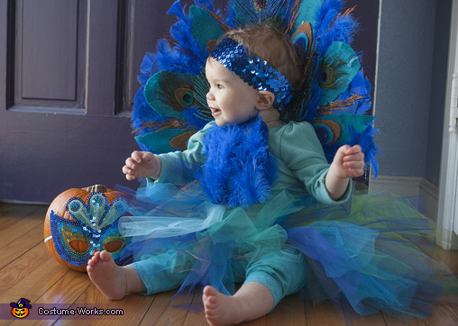 Peacock dress sale for baby