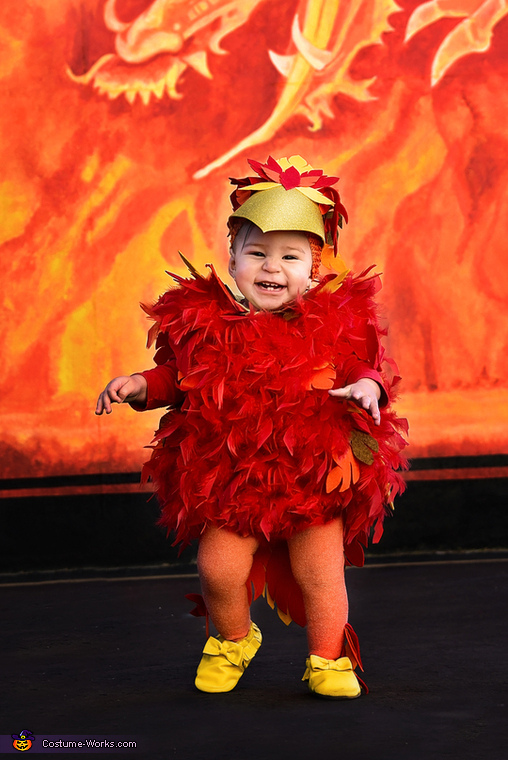 Baby Phoenix Costume