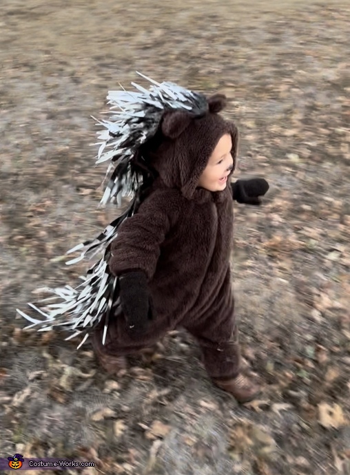 Baby Porcupine Costume