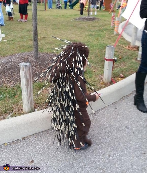 Baby Porcupine Costume
