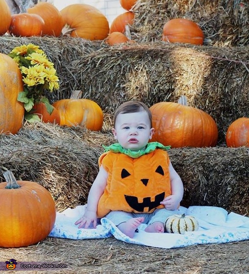 Cute Baby Pumpkin Costume - Photo 2/2