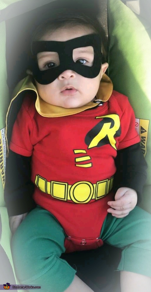 Baby Robin Costume