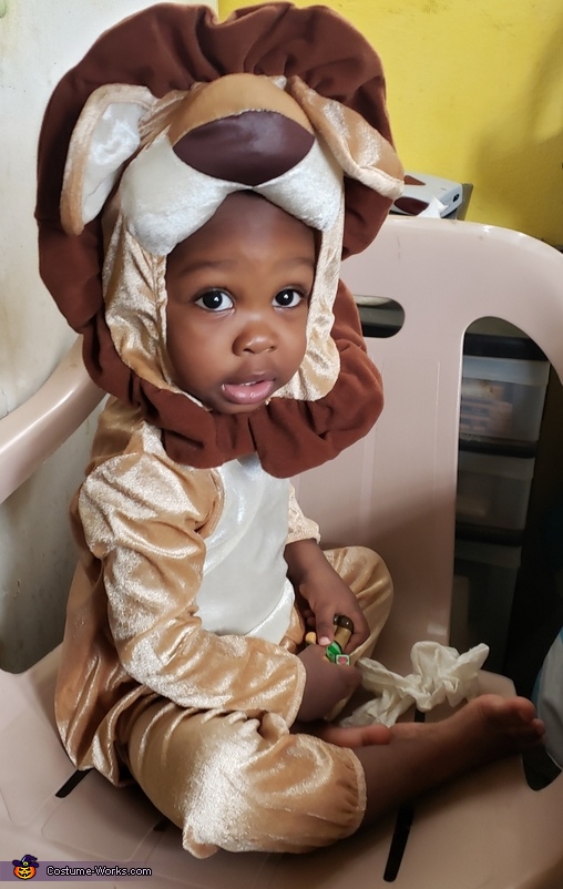 Baby Simba Costume
