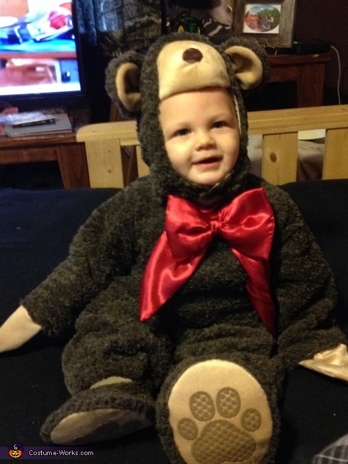 Baby Teddy Bear Costume