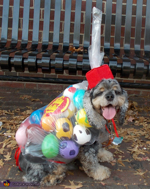 Bag of Jelly Beans Costume