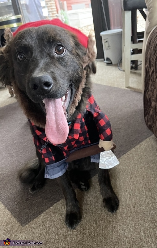 Lumberjack Dog Pajamas