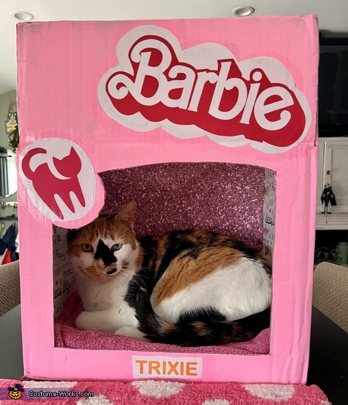 Barbie Cat Costume