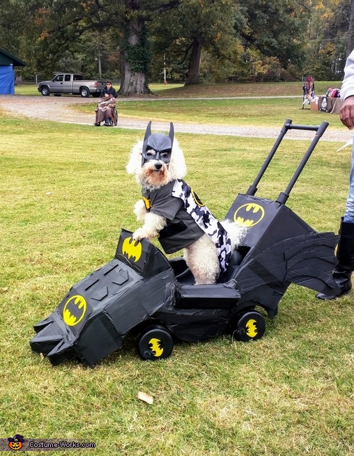 Batman Dog's Costume | DIY Costumes Under $25