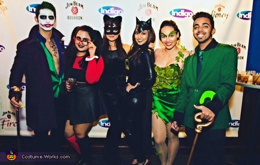 Batman and his Villains Costume