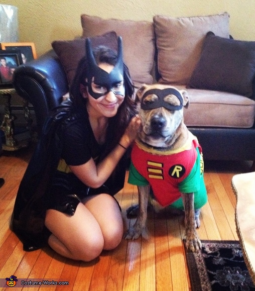 diy batman and robin costumes