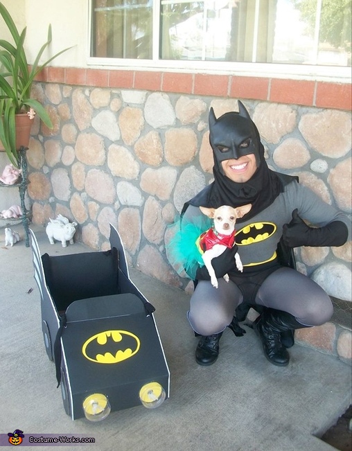 baby batman and robin cartoon