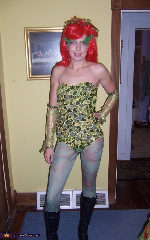 Batman, Robin and Poison Ivy Costumes | Original DIY Costumes - Photo 7/10