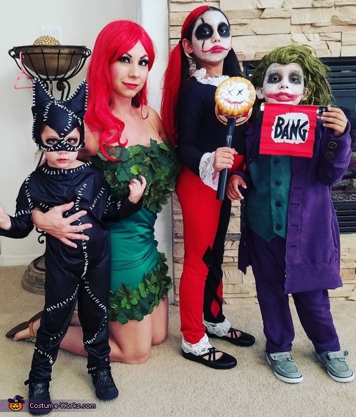 Batman Villains Family Costume