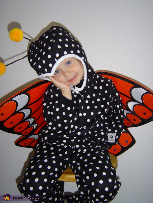 Beautiful Butterfly Girl Costume
