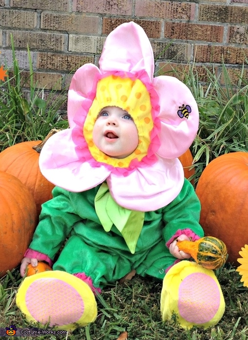Beautiful Flower Baby Costume