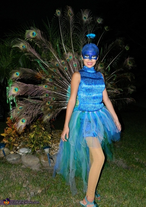 Beautiful Peacock Costume