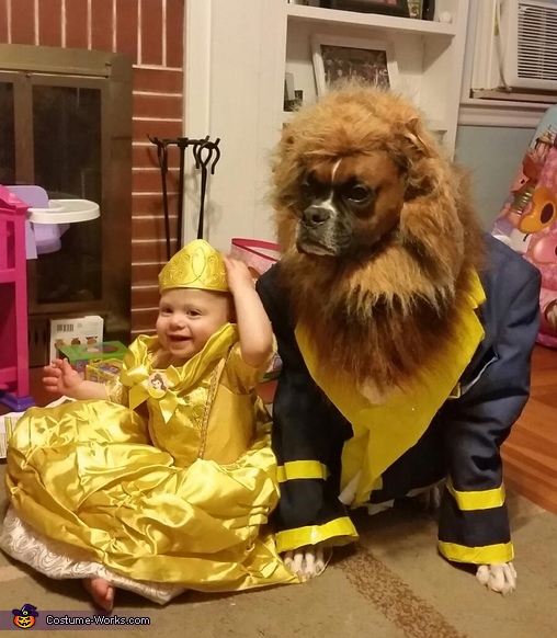 Beauty and the Beast Costume