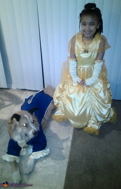 Beauty and the Beast Costume