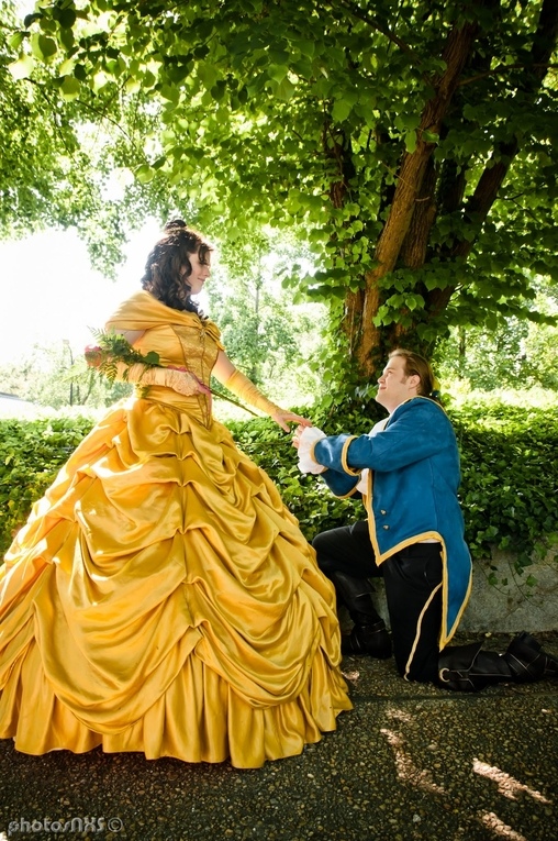 Beauty and the Beast Costume