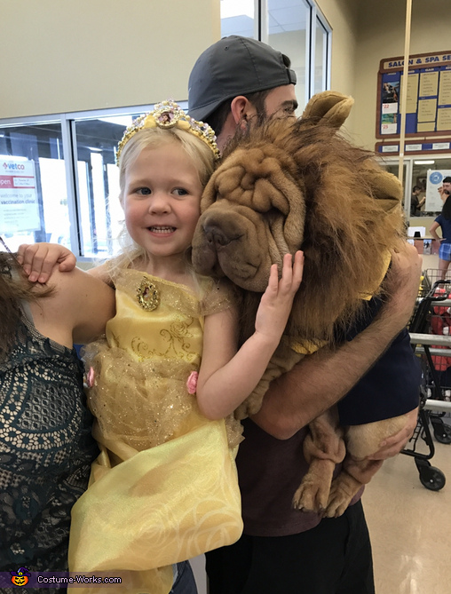 Beauty and the Beast Costume