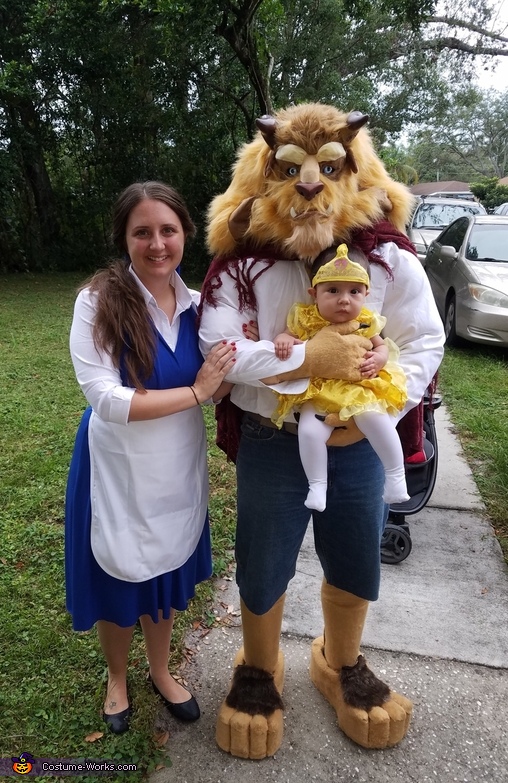 Beauty and the Beast Costume