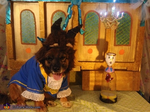 Beauty and the Beast. Costume