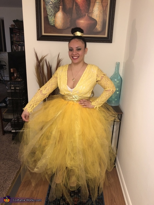 Beauty and the Beast Costume | DIY Costumes Under $25 - Photo 3/7